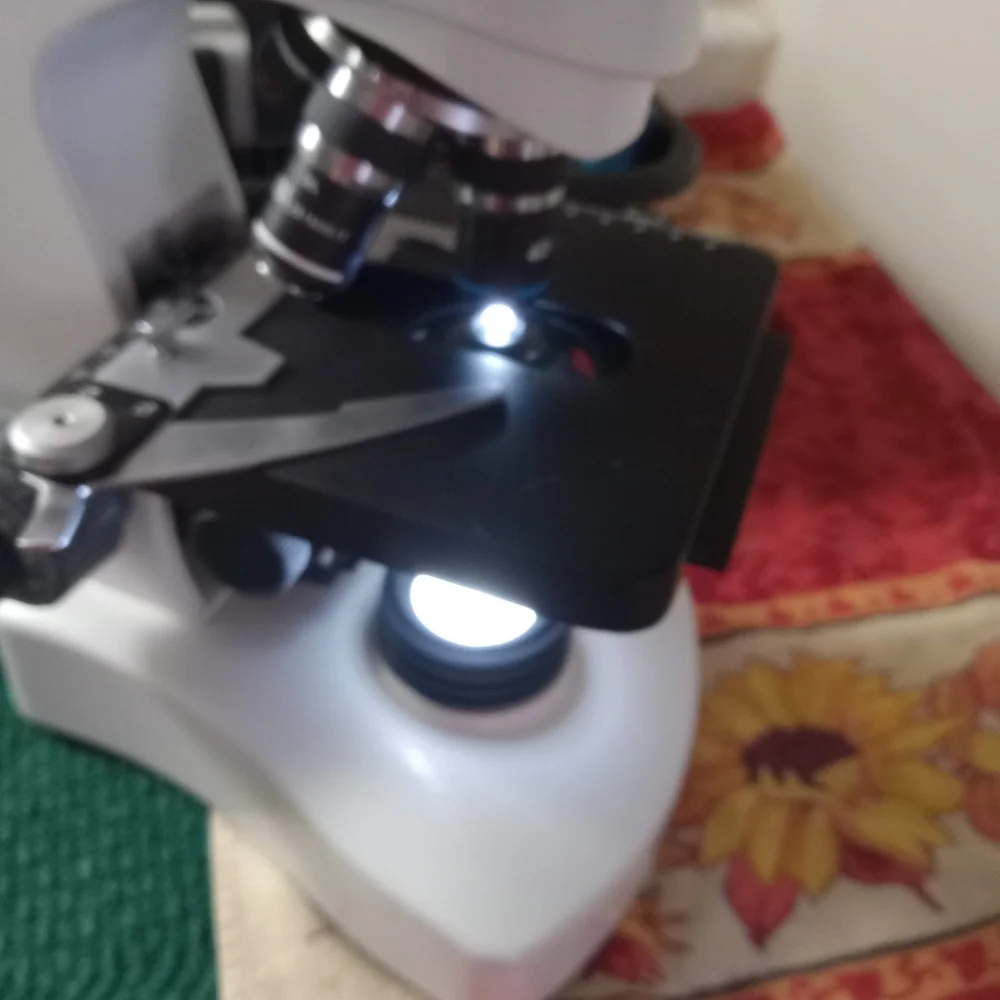 Light up Microscope - Picture 2 of 3